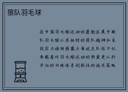 狼队羽毛球